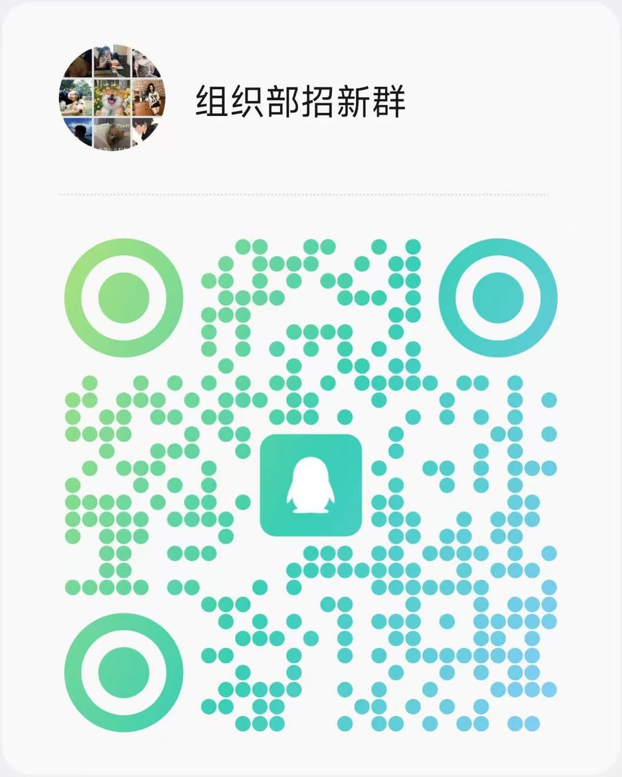 组织部招新QQ群二维码